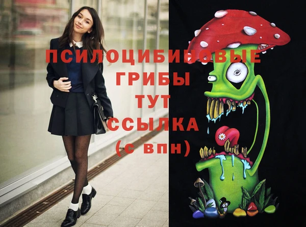 дживик Приозерск